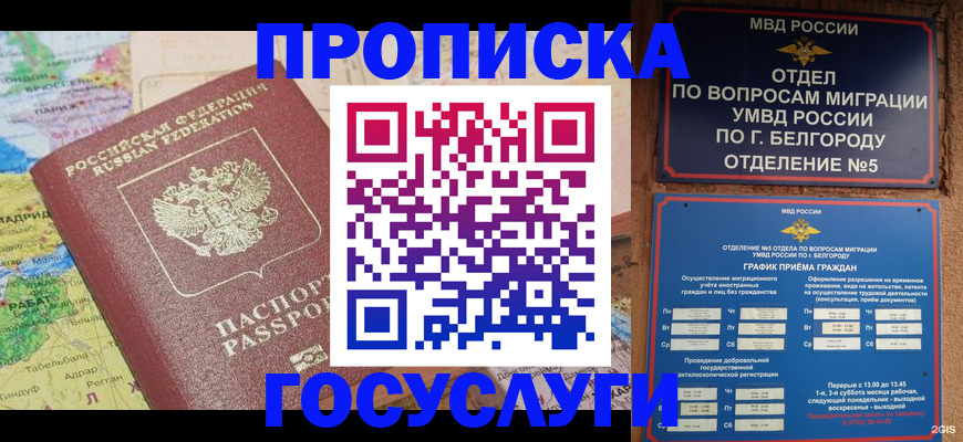 прописка регистрация в Гаврилов-Яме